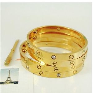 Gold plated screw on bangle